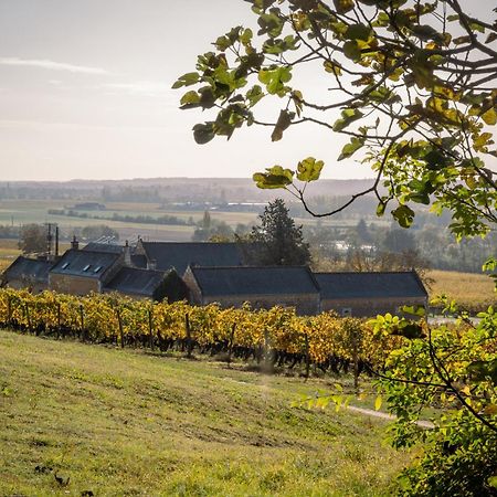 Bed and Breakfast Domaine Beausejour Panzoult Exterior foto