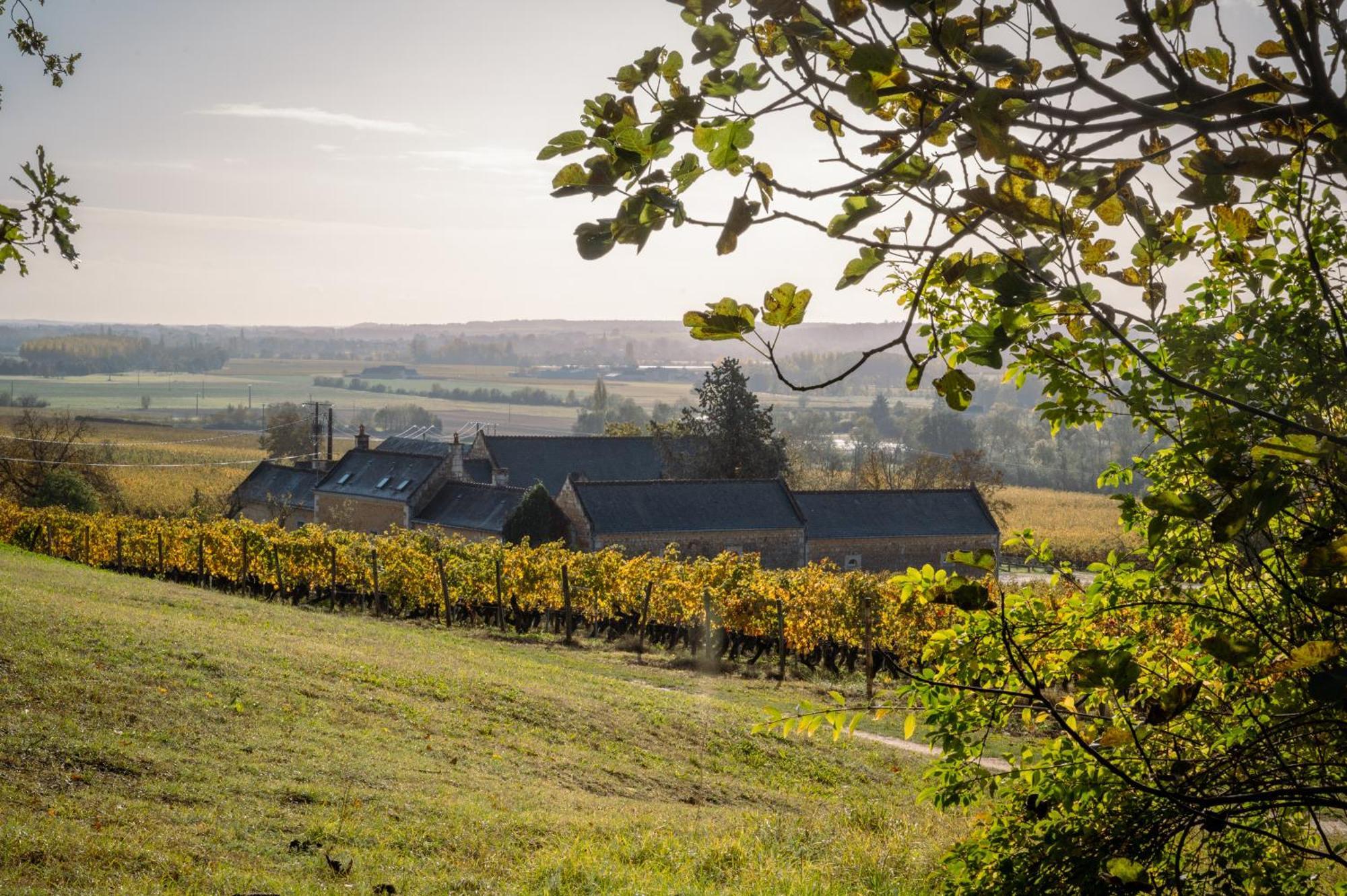 Bed and Breakfast Domaine Beausejour Panzoult Exterior foto