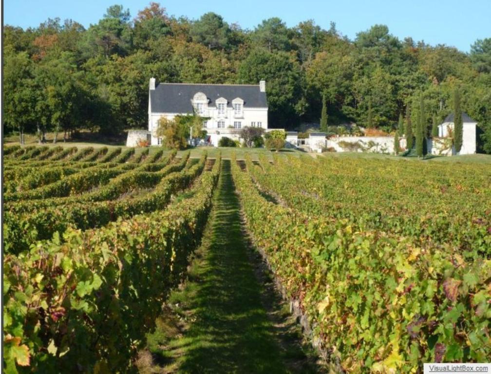 Bed and Breakfast Domaine Beausejour Panzoult Exterior foto
